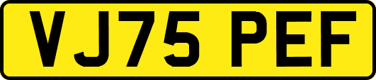 VJ75PEF