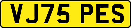 VJ75PES