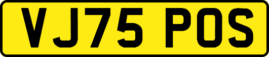 VJ75POS
