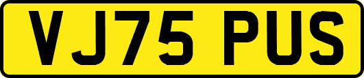 VJ75PUS