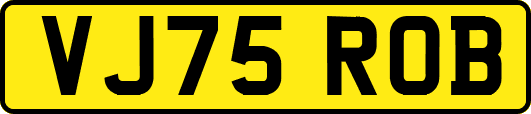 VJ75ROB