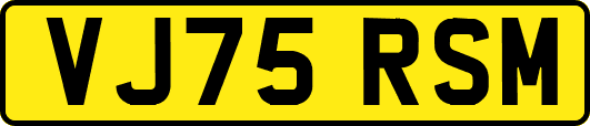 VJ75RSM