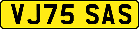 VJ75SAS