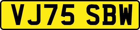 VJ75SBW