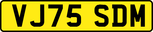 VJ75SDM