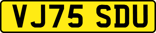 VJ75SDU