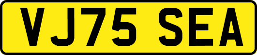 VJ75SEA