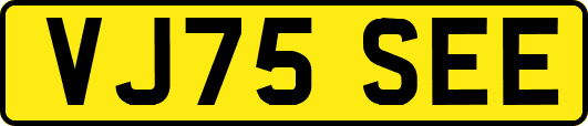 VJ75SEE