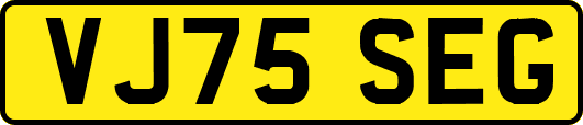 VJ75SEG