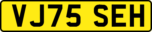 VJ75SEH