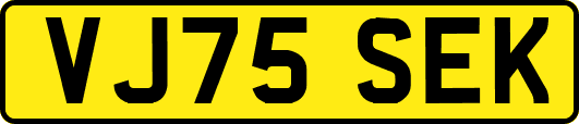 VJ75SEK