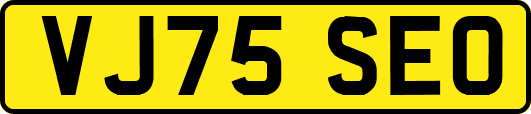 VJ75SEO
