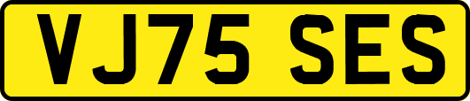 VJ75SES