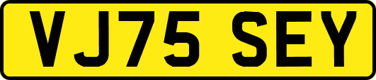 VJ75SEY