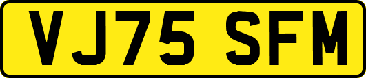 VJ75SFM