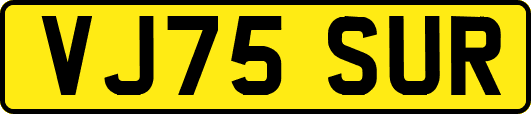 VJ75SUR