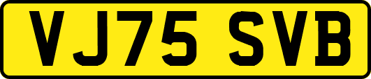 VJ75SVB