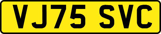 VJ75SVC