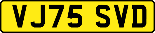 VJ75SVD