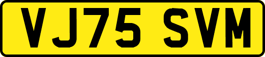 VJ75SVM