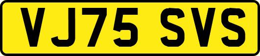 VJ75SVS