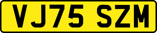 VJ75SZM