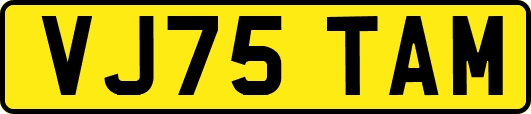VJ75TAM