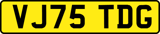 VJ75TDG