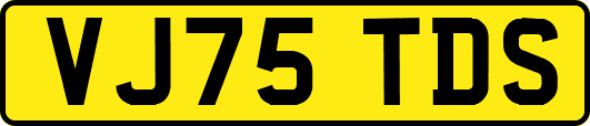 VJ75TDS