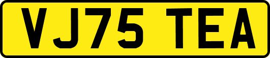 VJ75TEA