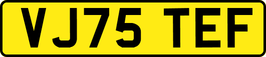 VJ75TEF