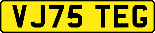 VJ75TEG