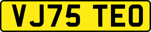 VJ75TEO