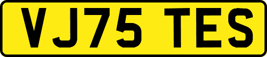 VJ75TES