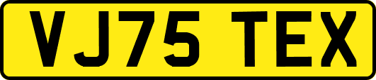 VJ75TEX