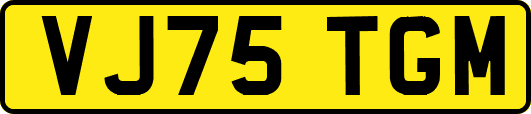 VJ75TGM