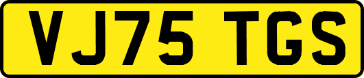 VJ75TGS