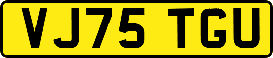 VJ75TGU