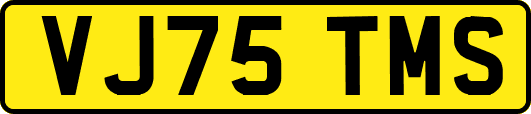 VJ75TMS