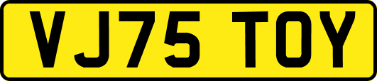 VJ75TOY