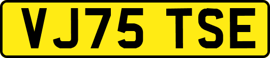 VJ75TSE