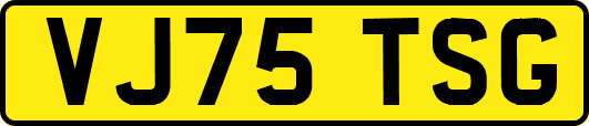 VJ75TSG