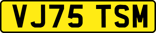 VJ75TSM
