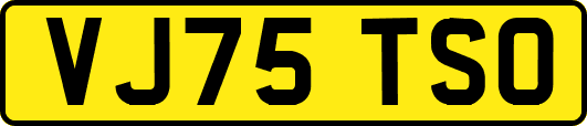 VJ75TSO