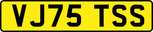 VJ75TSS