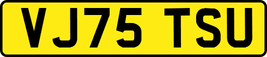 VJ75TSU