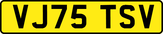 VJ75TSV
