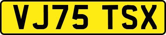 VJ75TSX
