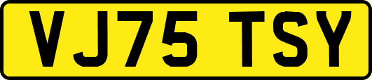 VJ75TSY