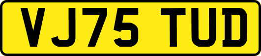 VJ75TUD